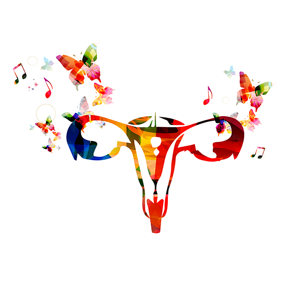 Female Reproductive System Graphic